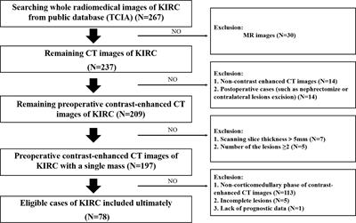 Development and Validation of a Radiomic Nomogram for Predicting the Prognosis of Kidney Renal Clear Cell Carcinoma